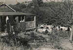 1948 - Just moved down from the House to the Brook.