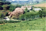 Views facing North 1967.