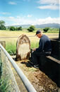 John Buttle (Yorkshire Clan), New Zealand. Grave of the founder of their 1840 emigration.